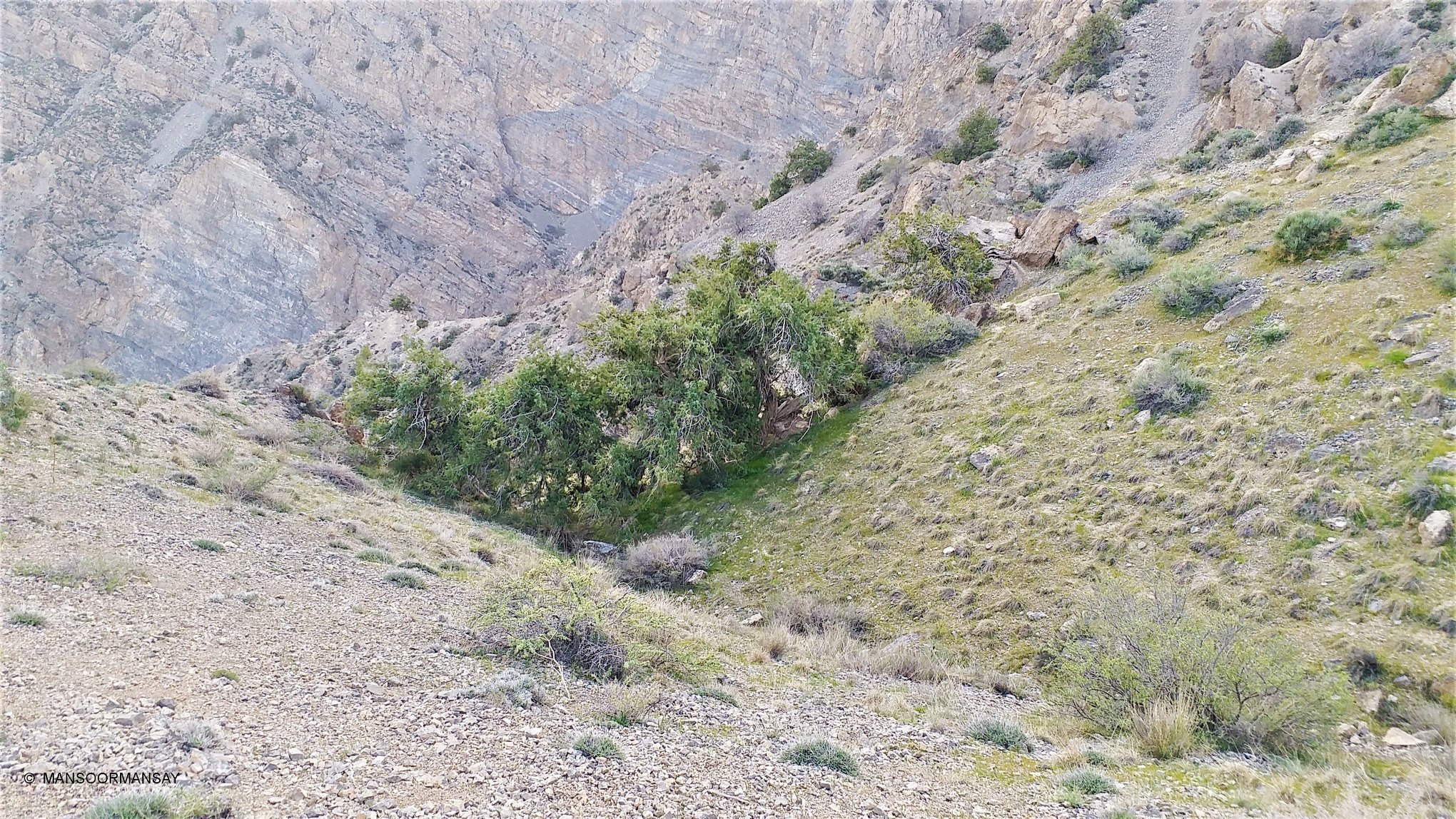 Hazarganji Chiltan Image 4